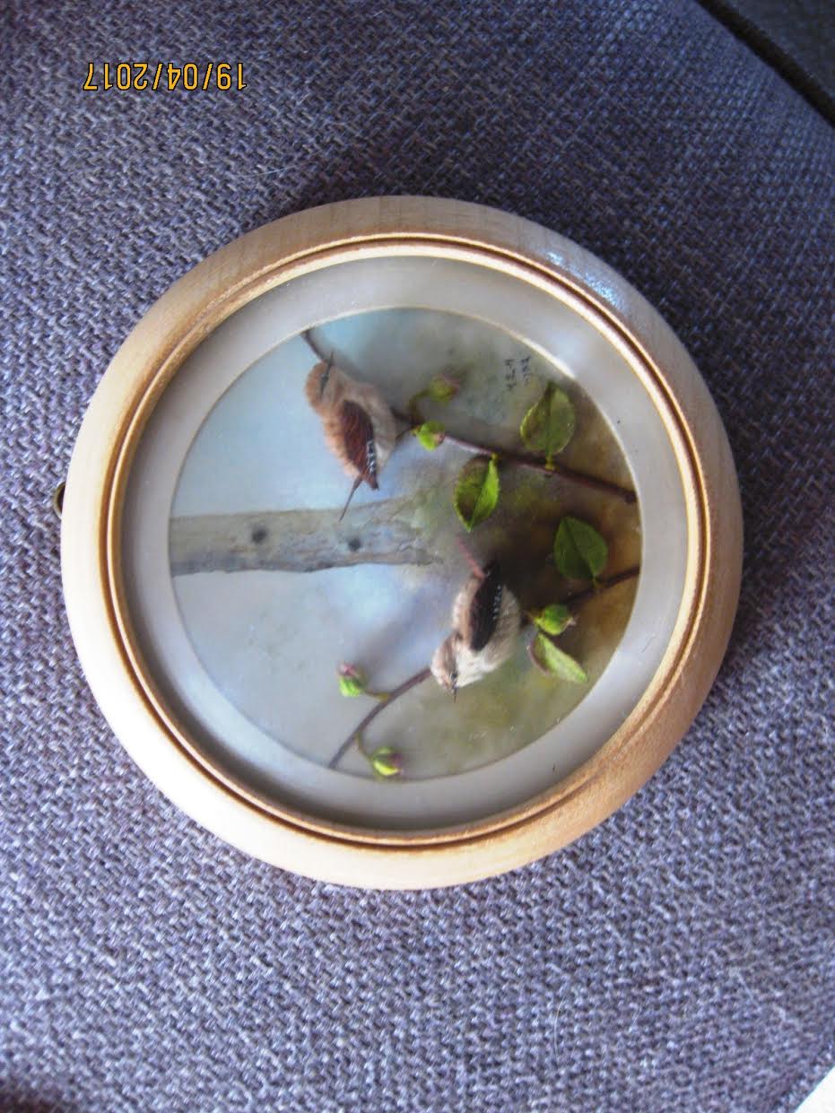 Wrens (5-inch)